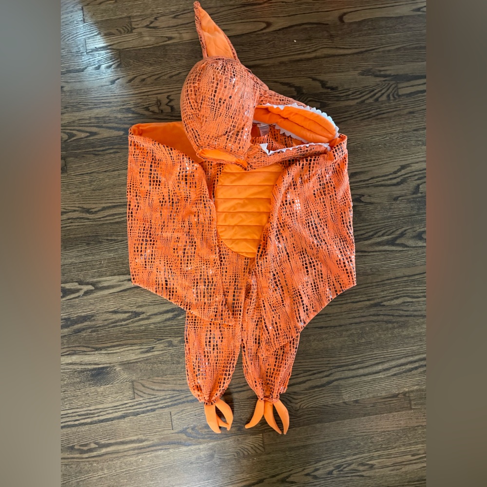 Pottery Barn Orange Dinosaur Costume